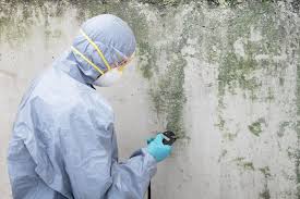 Professional Mold Inspection in Brooksville, MS